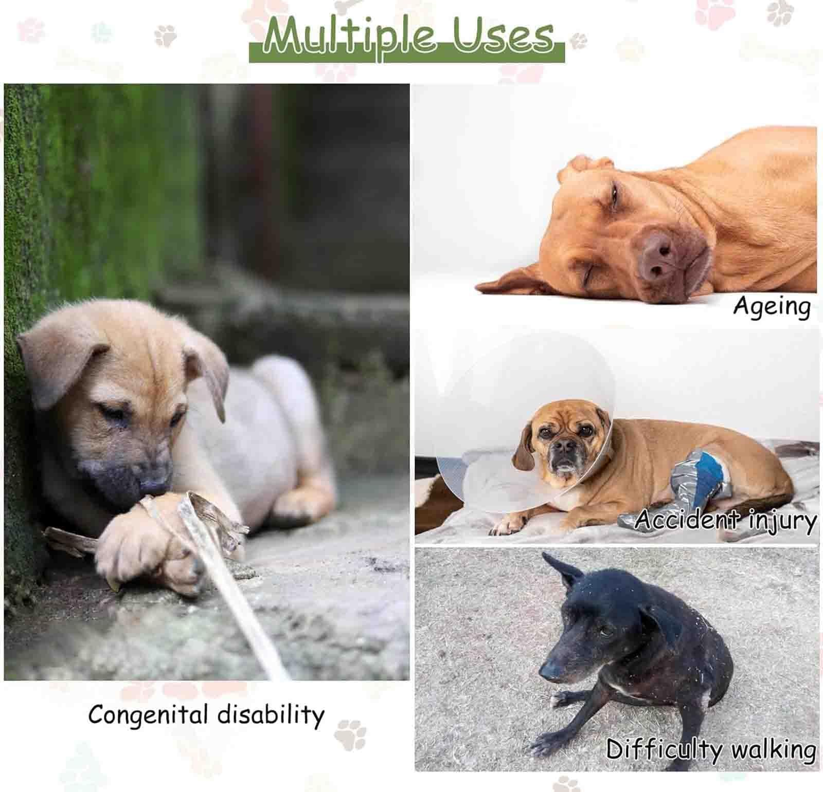 Silla de ruedas ajustable para perros y carrito para gatos, carrito de dos ruedas para mascotas, andador terapéutico para mascotas mayores con artritis, ayuda para la movilidad(L)