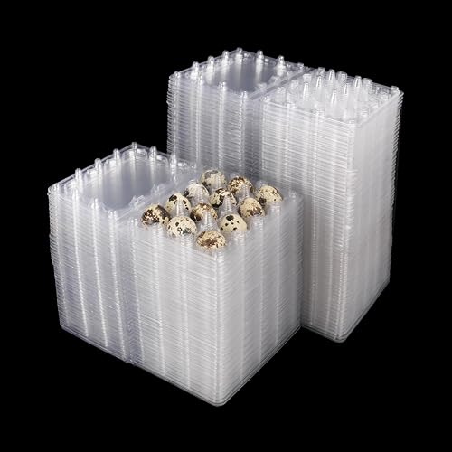 Large bulk pack of clear KUKLIPJIM 12-grid quail egg cartons
