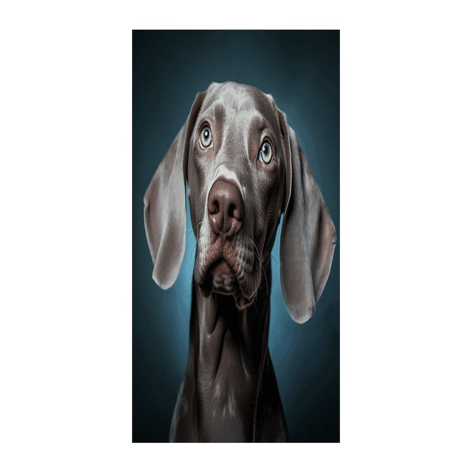 Fekiloot Style Gray Dog Pictures Door Curtain Room Divider Curtains