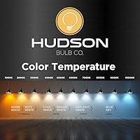 Vista 5 de HUDSON BULB CO. Bombillas Edison incandescentes vintage de 60 W