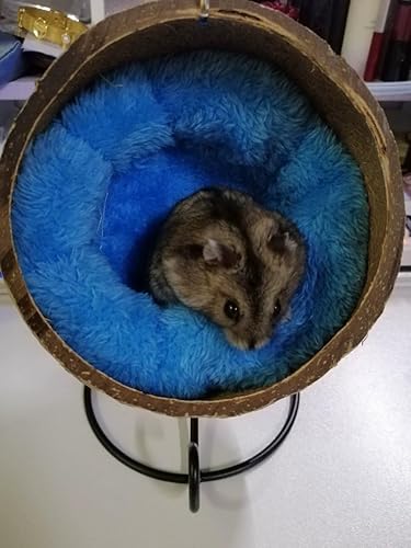 Miniatura 3 de Ranslen Hamster de coco natural con suspensión de juguete molar, casa de cama de hámster con almohadilla cálida, accesorios de decoración de hábitat