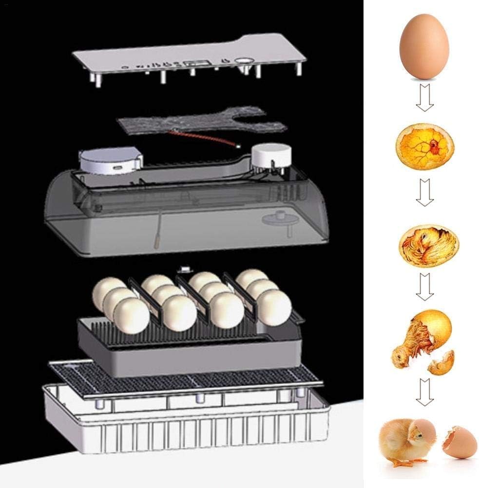 Incubator Egg Incubator Digital Fully Automatic Hatcher for Chickens Ducks Birds Family Use Intelligent Temperature Control