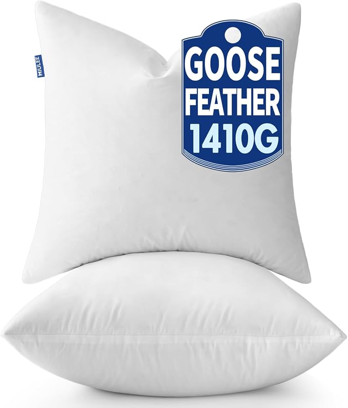 24 x 24 Set of 2 Decorative Pillow Inserts