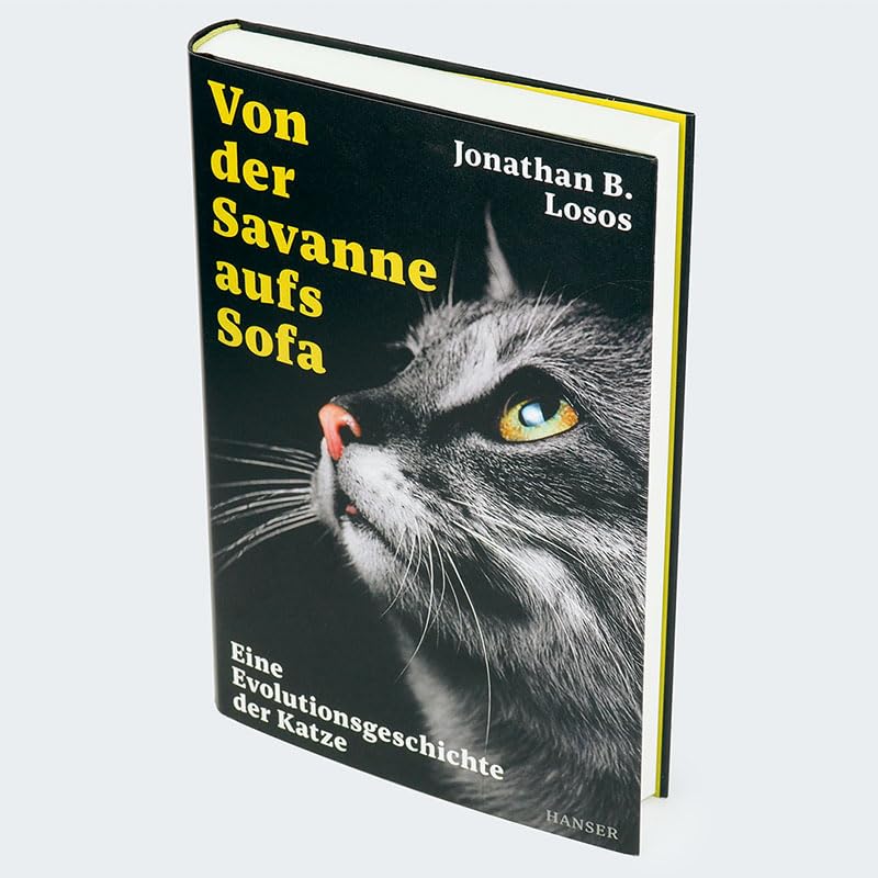 Von der Savanne aufs Sofa: Eine Evolutionsgeschichte der Katze