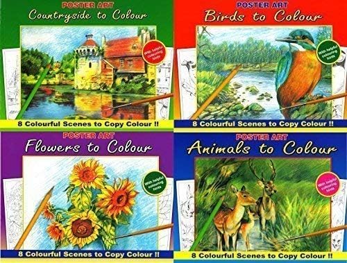 Set of 4 Adults Paint & Colouring Books Birds, Countryside, Flowers & Animals 1020