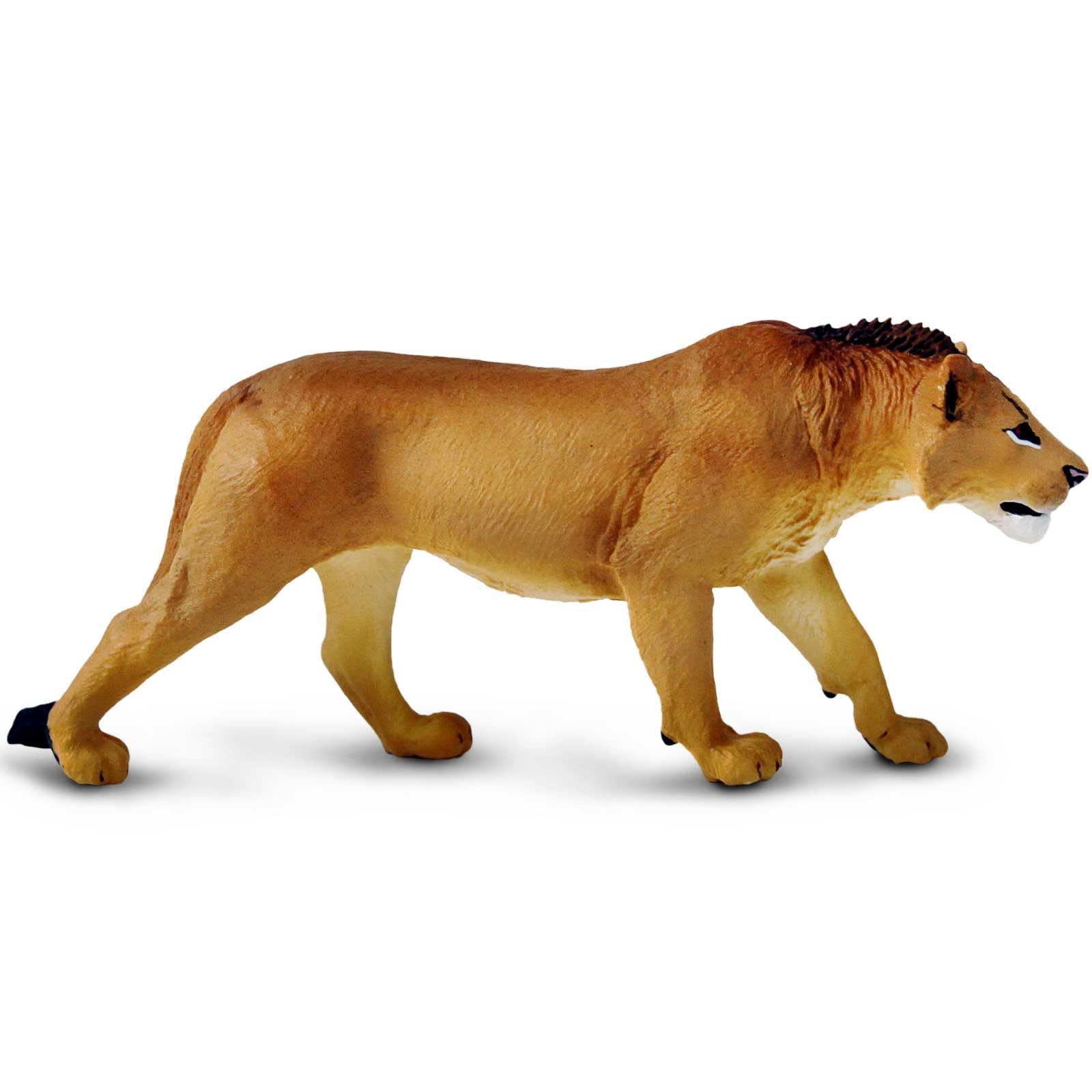 Amazon.co.jp: Safari Ltd.青年期の雄ライオン - 詳細な6インチの野生