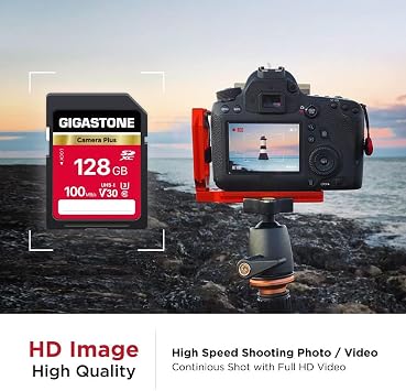 GIGASTONE 128GB SD Card 10-Pack, Camera Plus, UHS-I V30 U3 SDXC Memory Card High Speed UHD Video Speed up to 100MB/s, Compatible with Digital Camera, with 10 Mini Cases