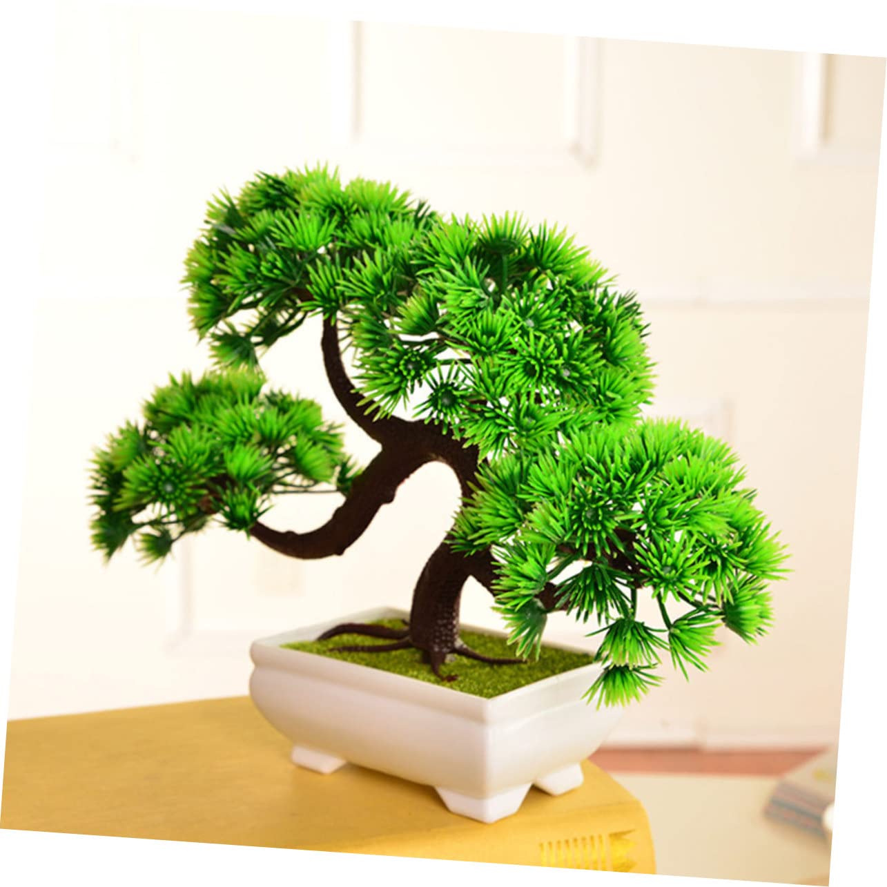 TOPBATHY 1 Pc Pino En Maceta De Cristal Marcos Costeros Decoracin De  Escritorio Decoraciones De Bonsais Pino De Simulacin Ornamento Bonsi  Planta : Amazon.es: Hogar y cocina