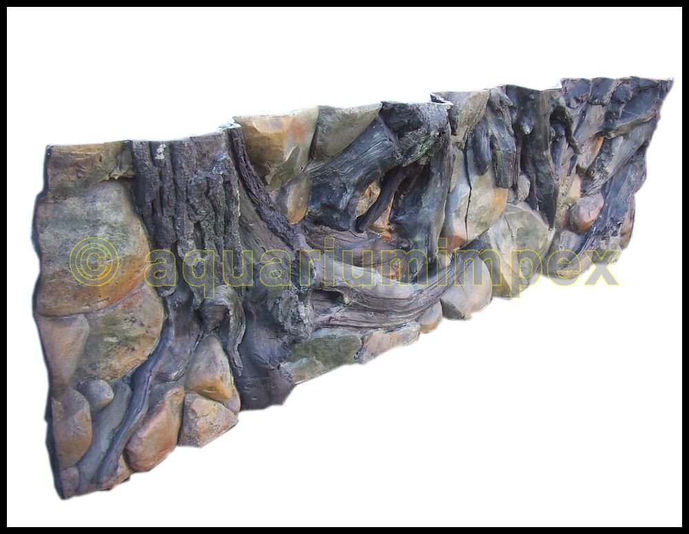 3D Rückwand 200x60 Aquariumrückwand Amazonas