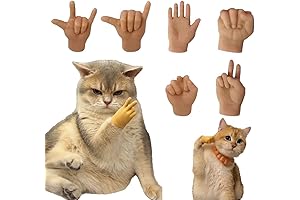AIERSA Mini Hands for Cats: Your Cat's New Style Statement