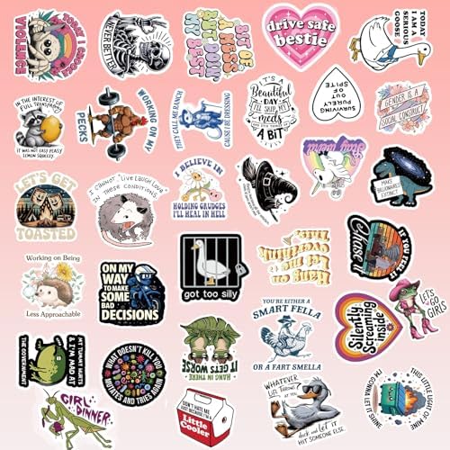 Bluradio 200PCS Holographic Sarcastic Meme Stickers for Adults (Dirty) — view 5