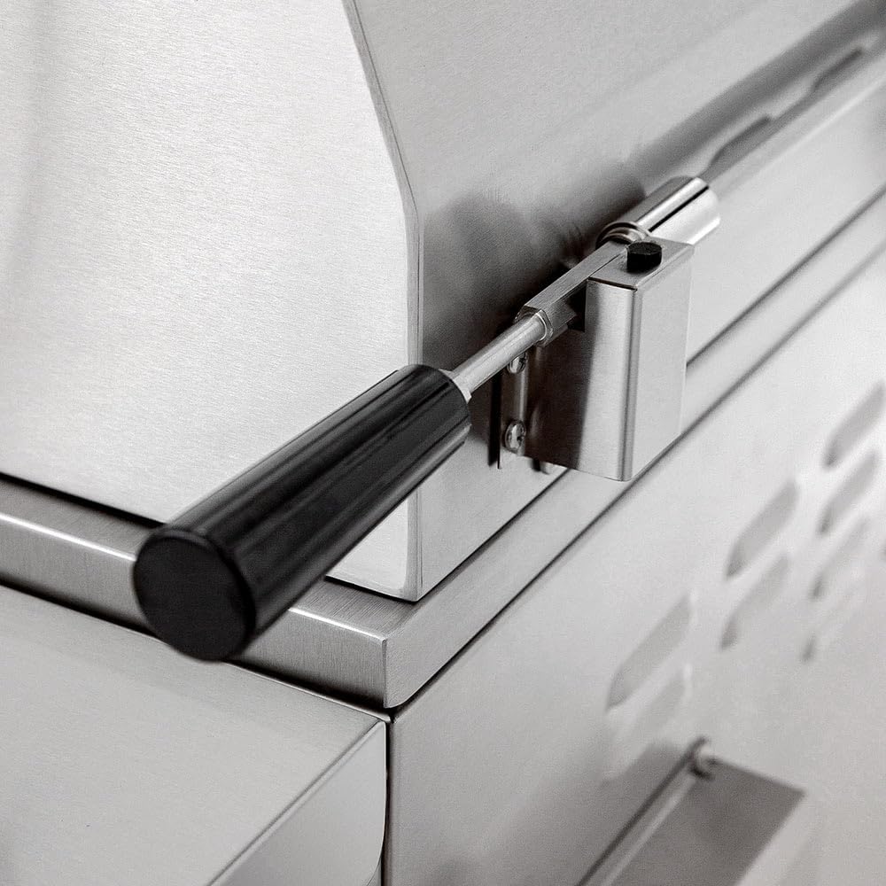 Summerset Alturi Series Built-In Gas Grill (ALT30-NG), 30-Inch, Natural Gas