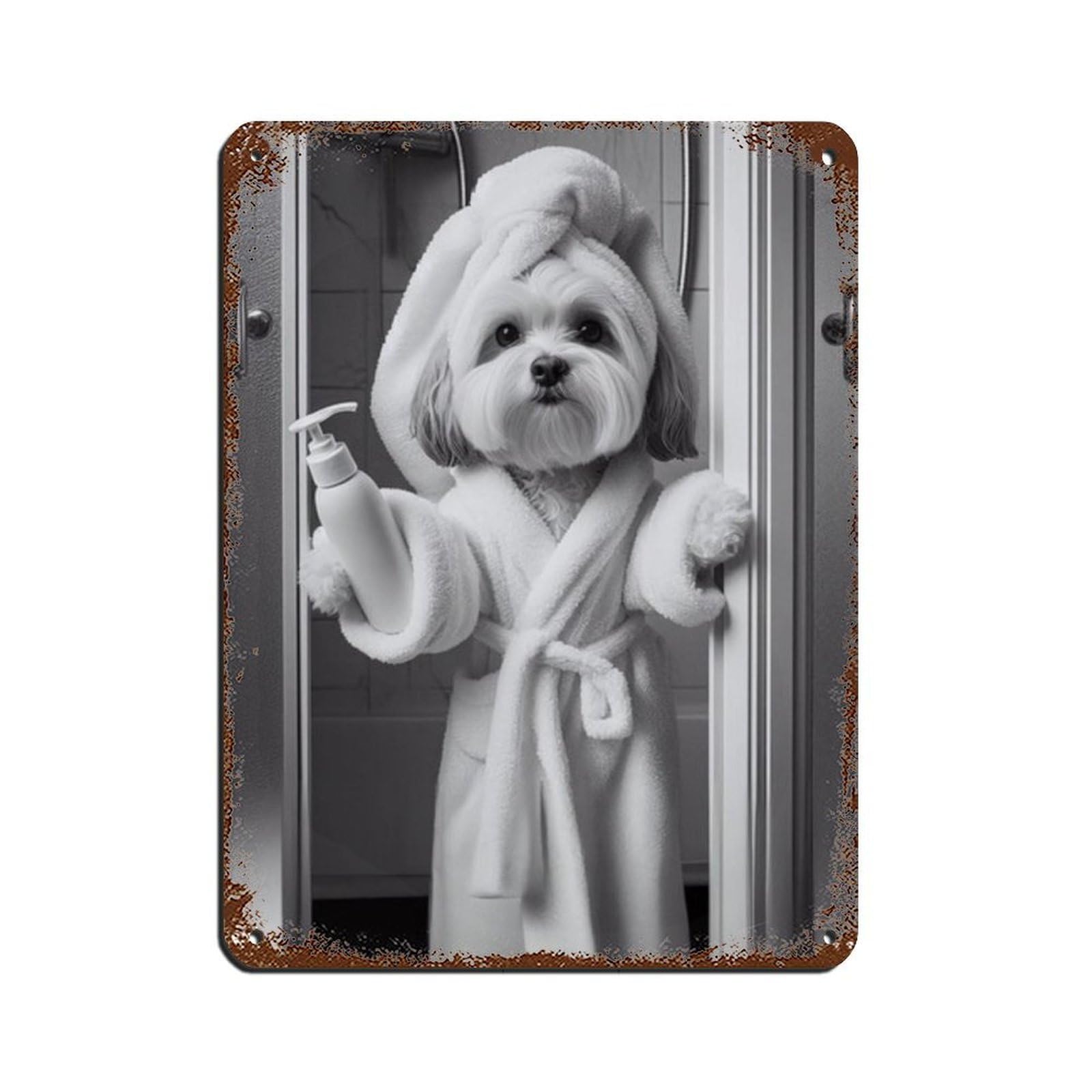 Lxwnze 30L X 40W Cm Havanese Bathroom Art Poster Retro Poster Metal Tin Sign Chic Art Retro Iron Painting Bar People Cave Cafe Family Garage Poster Wall Decoration 12X16inch(30X40cm)
