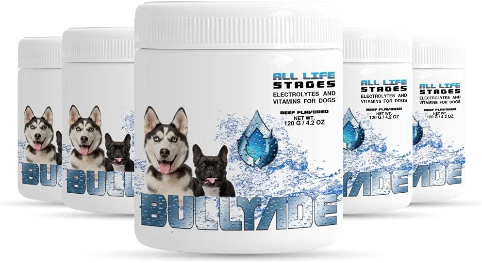 Bullyade Natural Dog Supplement with 18 Vitamins, Minerals & Electrolytes. Mixes with Water or Food. (Beef 5 Pack)