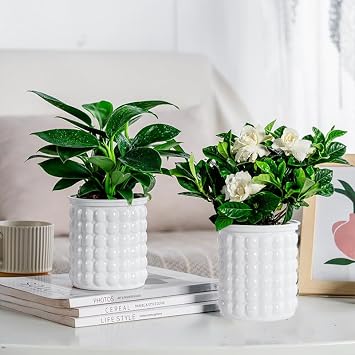 2PCS Self Watering Planters 4.7 Inch Self Watering Pots for Indoor Plants, African Violet Pots with Wick Rope, Flowers, Succulents, Herb, House Plants White