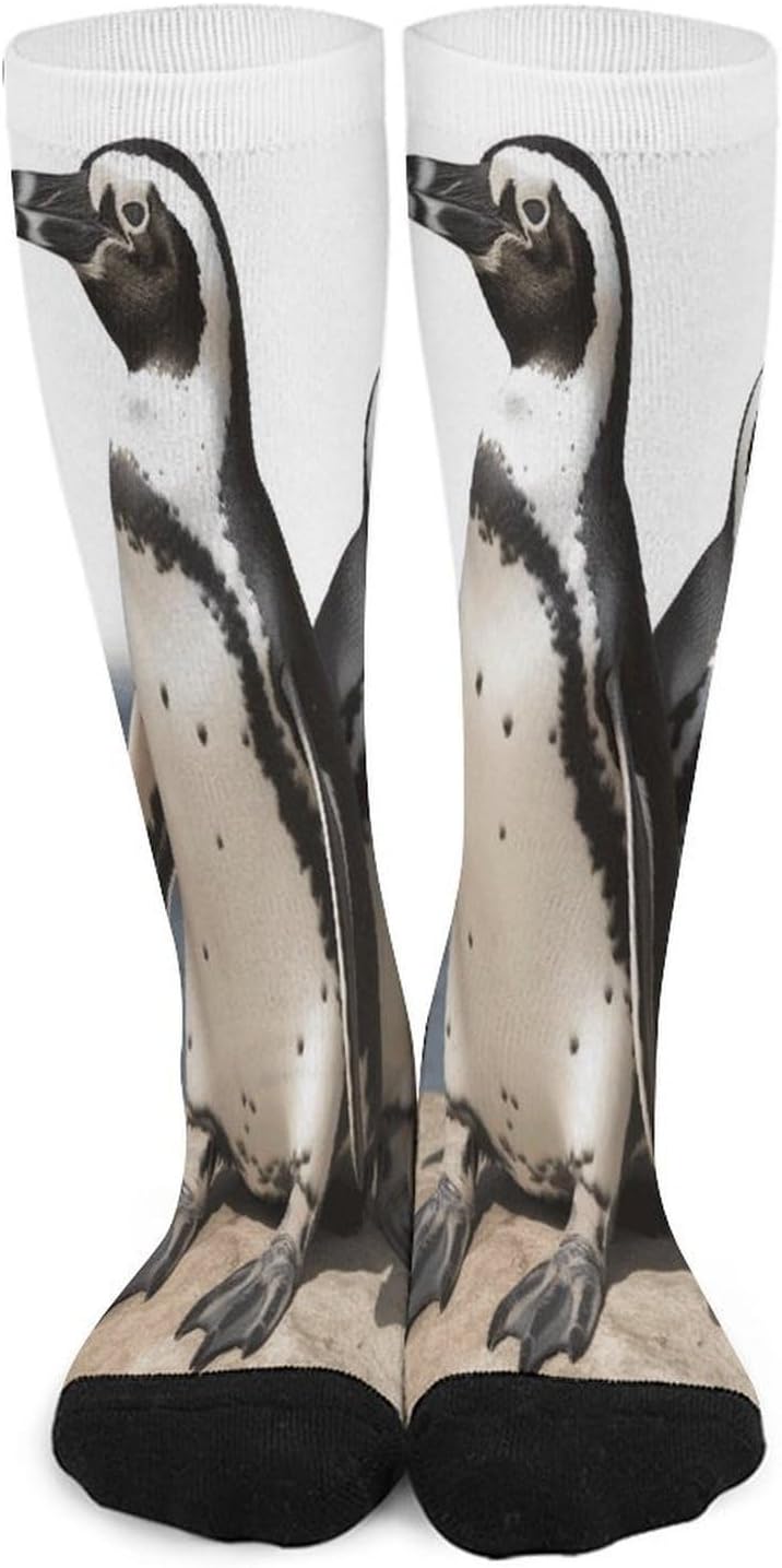 African Penguin Crew Socks Calf Socks Athletic Crew Sock