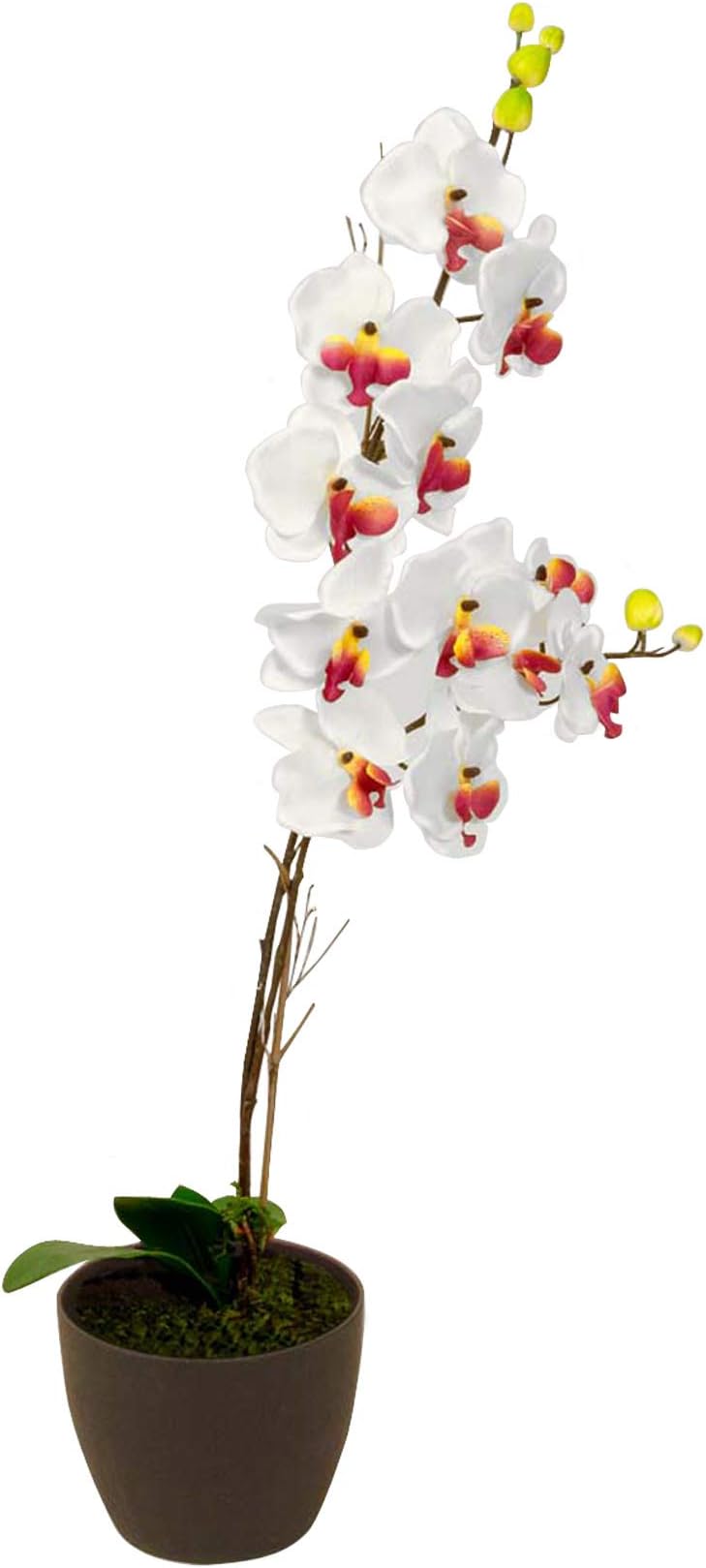 Elementals Moth Orchid Artificial Plant