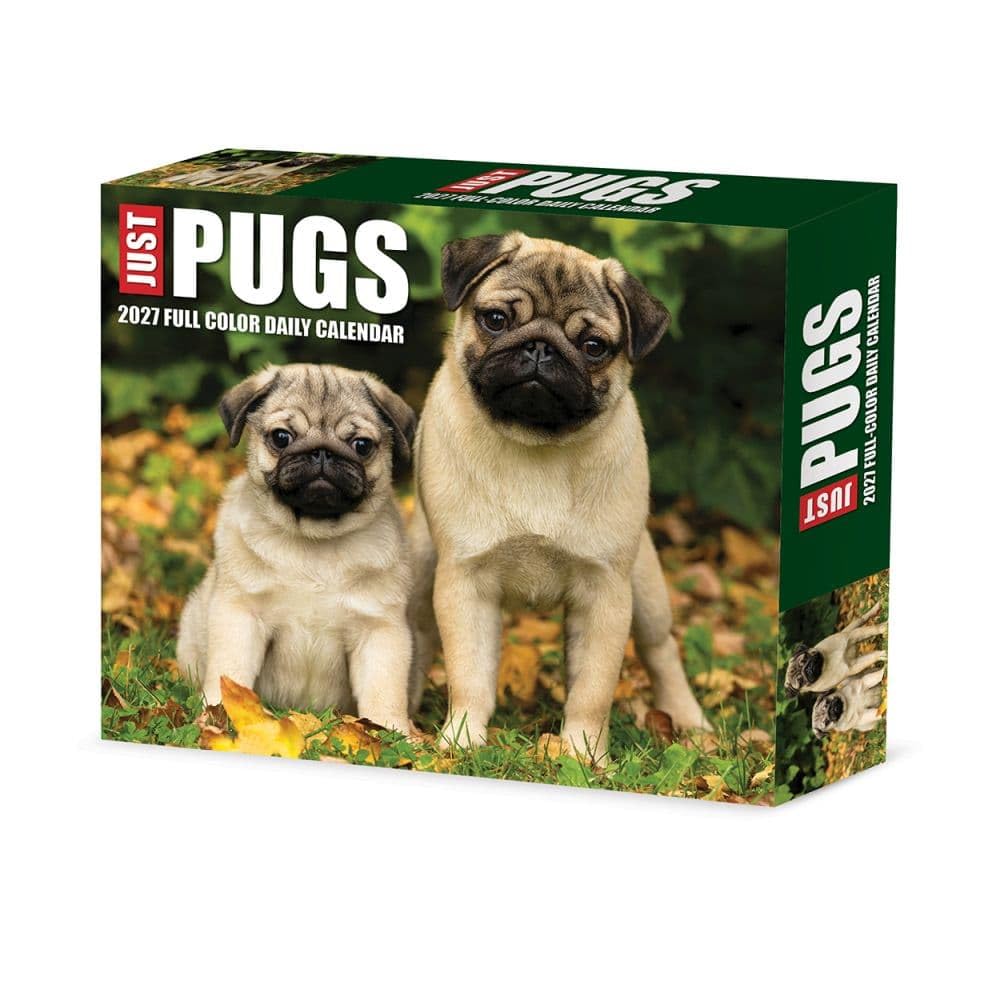Willow Creek Press, Just Pugs 2027 5.4" x 6.2" Box Calendar