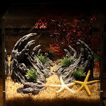 Amazon | 2個 アクアリウム オブジェ 岩 山 隠れ家 隠れ洞窟