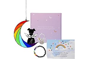 Soothing Solace: A Suncatcher's Embrace for Lost Companions