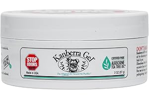 Kanberra Gel Natural Air Purifier: Your Indoor Air's Silent Guardian