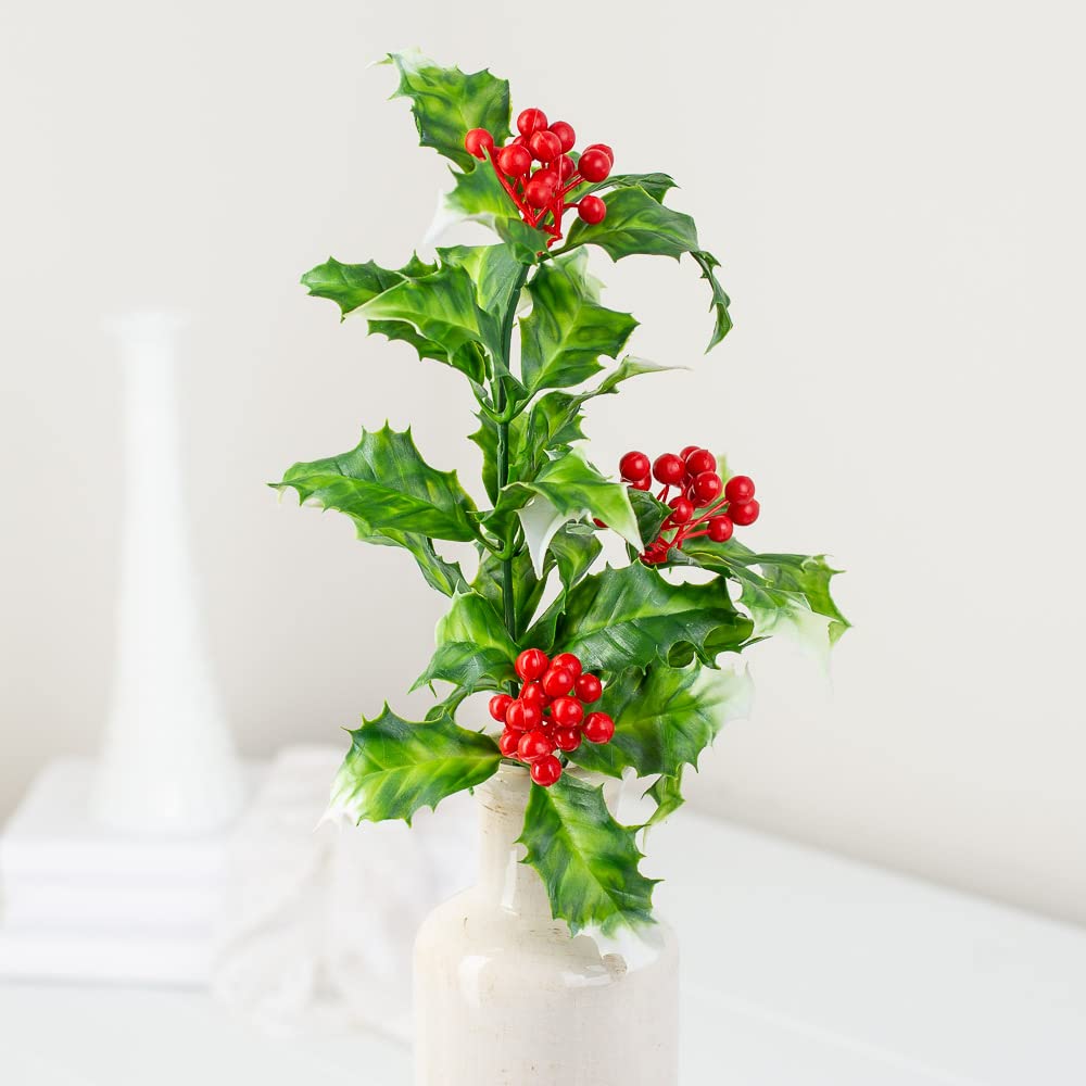 Amazon.com: Factory Direct Craft Holly Plastic Floral Picks (12