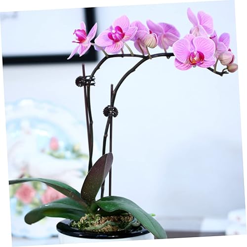 Miniatura 7 de Yardwe 150pcs Phalaenopsis Orchid Clip Pepino Plantas Plantas de Plástico Plantas Plantas en maceta Vegetales Soporte de Plantas Clip Clip de
