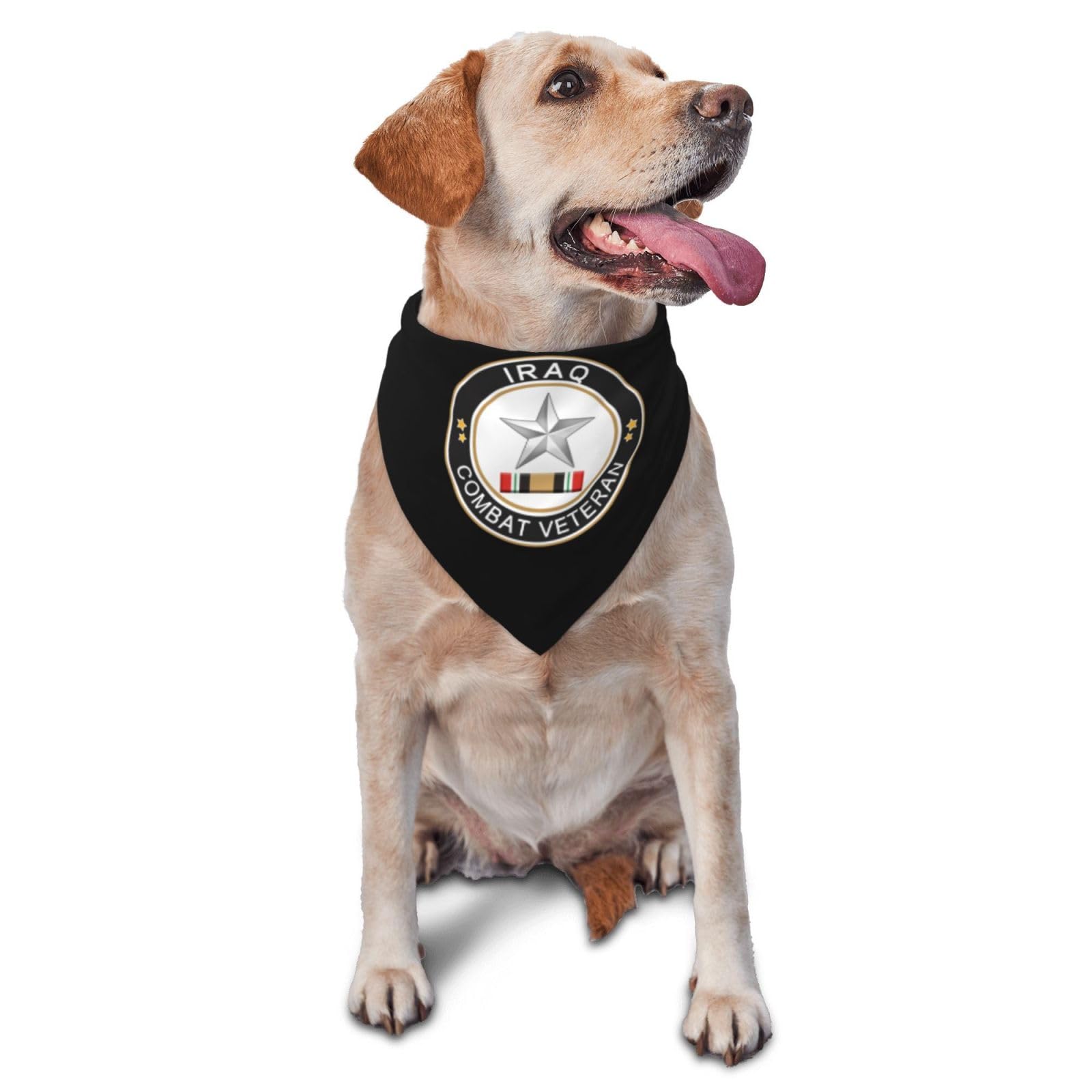 US Army O-7 Brigadier General O7 BG Iraq Combat Veteran Dog Scarf Pet Bandana Cat Pet Bibs