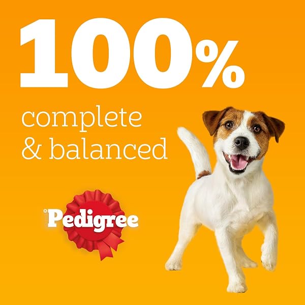 Pedigree Adult Dog Wet Food Pouch Mixed Selection in Gravy, 40x100g - 4