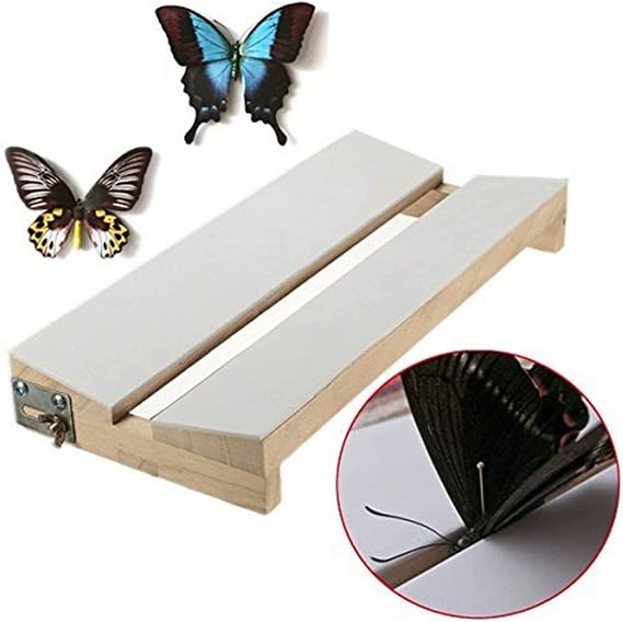 Adjustable Insects Butterfly Spreading Board Mounting Solid Wood V Shape
