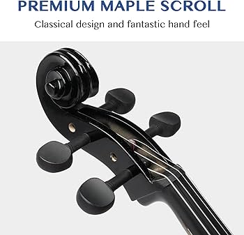 Amazon | Ktaxon フルサイズ チェロ 初心者チェロ4/4 アコースティック