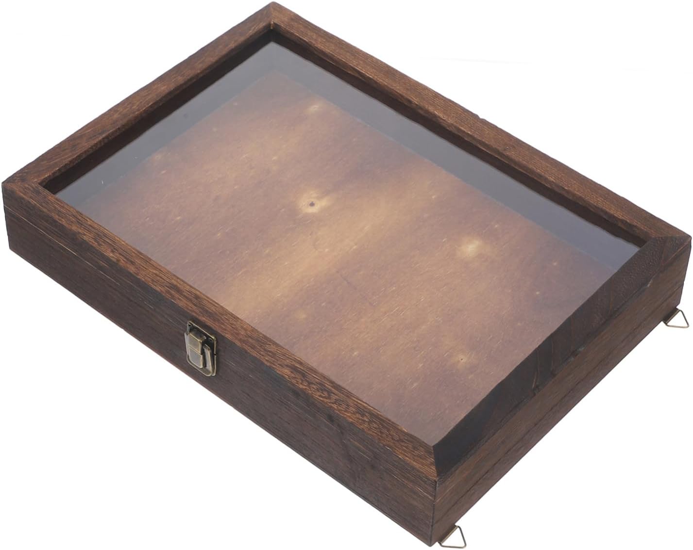 ERINGOGO Specimen Display Box for Butterflies Vintage Design Transparent Cover for Wall Hanging and Showcasing Dried Flowers and