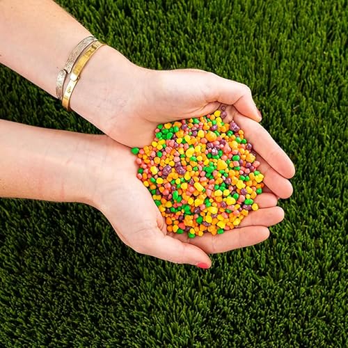 Nerrds Rainbow Mini Dulces Duros 3 lbs Surtido Frutal miniatura 5