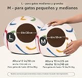Ver la foto 2