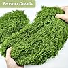 Fake Green Moss for Crafts 5.3 Oz Decorative Artificial Moss for Crafts Decorative Faux Moss Table Centerpieces Wedding Party Decor Fairy Garden Floral DIY #3