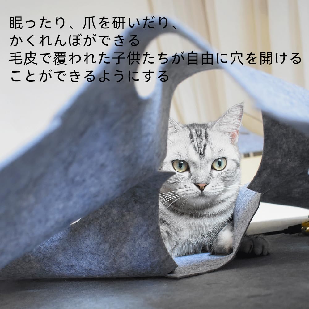 Amazon.co.jp: LIMEETKET 楽しい猫用プレイマット 猫用