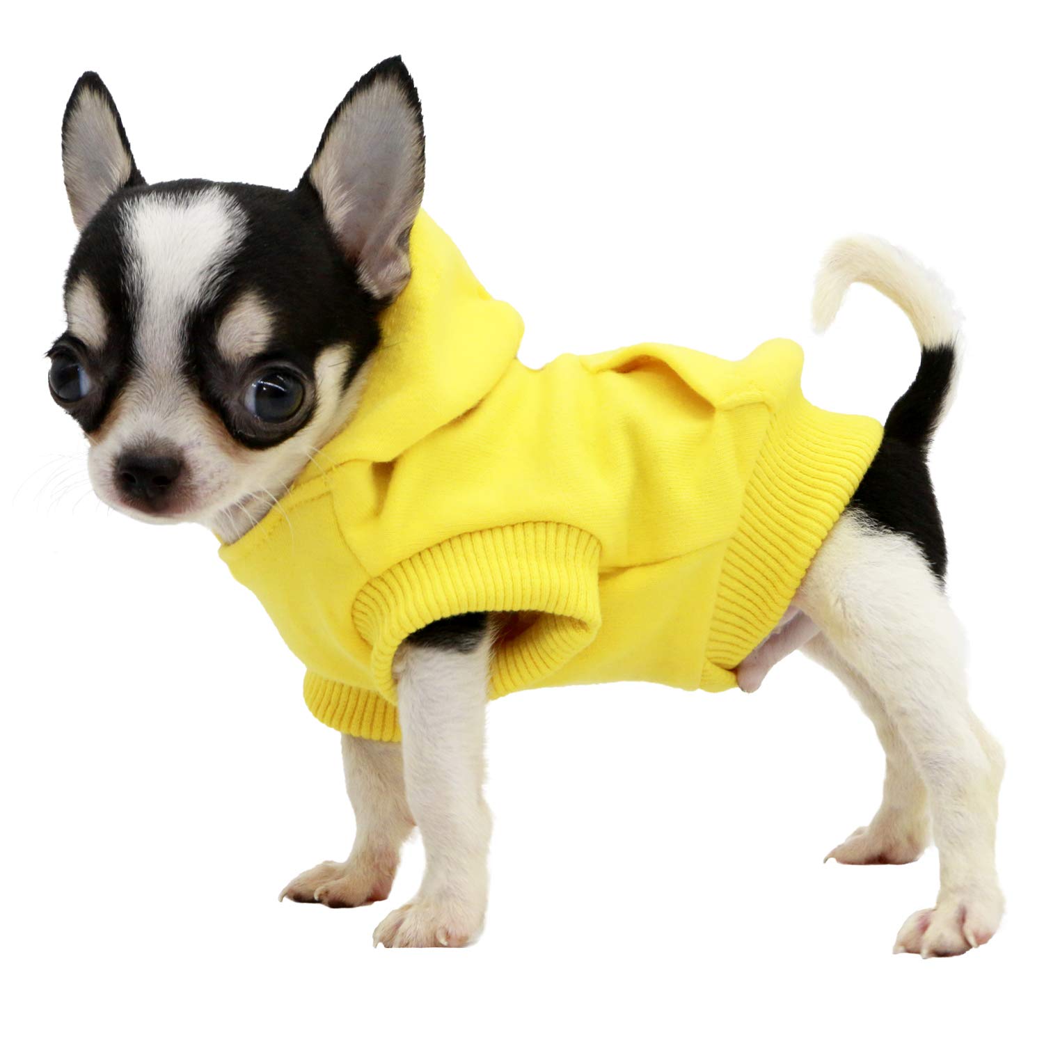 LOPHIPETS - Sudaderas con Capucha de algodón para Perros pequeños, Chihuahua, Ropa para Cachorros, Abrigo para Clima frío, Amarillo/XS