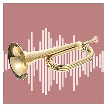 HUTTL トランペット ドイツ製 管楽器 ゴールドラッカー マウスピース付き HUTTL トランペット ドイツ製 管楽器 ゴールドラッカー マウス