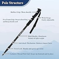 TheFitLife Collapsible Trekking Poles - Ultralight Anti-Shock Walking Sticks, Quick Twist-Lock, Adjustable for Hiking, Backpacking & Travel (2-Pack)