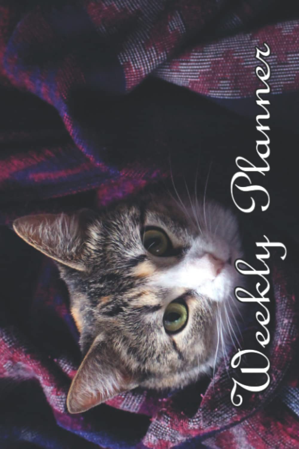 Weekly Planner - No dates - Spacious organizer with weekday titles - Undated - Cute cat kitty design: Pink and purple cosey cat cute animal 2022 diary non dated