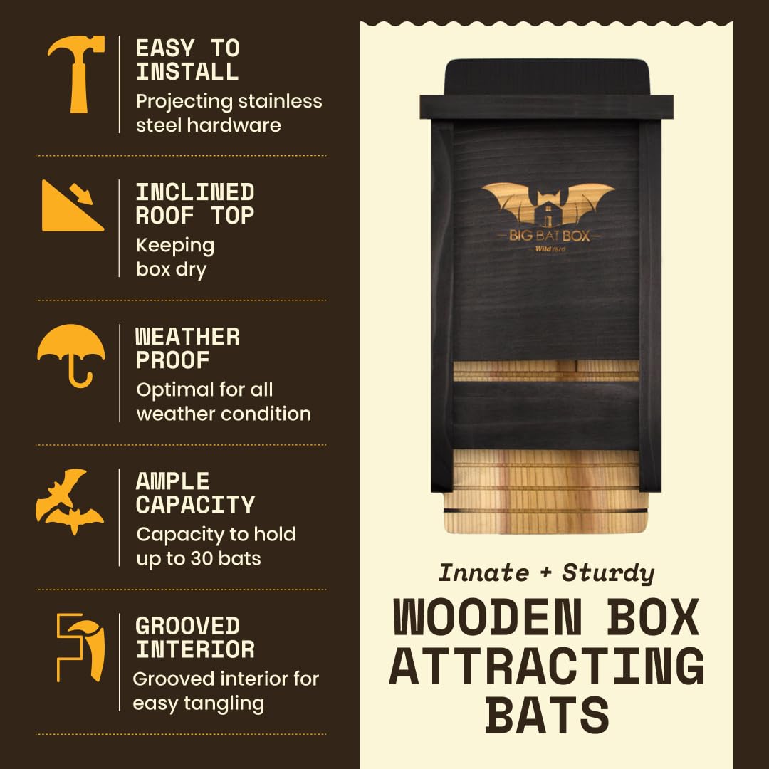 Wildyard Bat House For Outdoors - casa nera per pipistrelli all'aperto - Pulisci il tuo cortile dalle zanzare - Bat Box senza vernice all'interno - Una camera da letto per pipistrelli