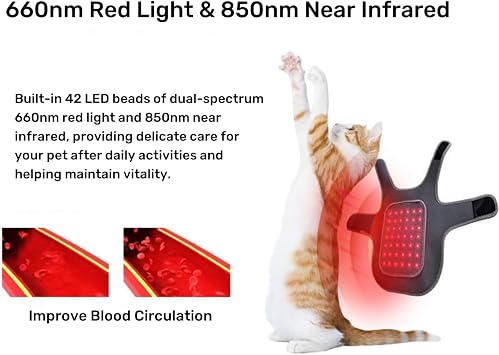 Wearable Red Light Wrap Pad for Pets - 660nm Red Light and 850nm Infrared Mat for Back, Abdomen, Adjustable Velcro Strap for Cats and Small Dogs