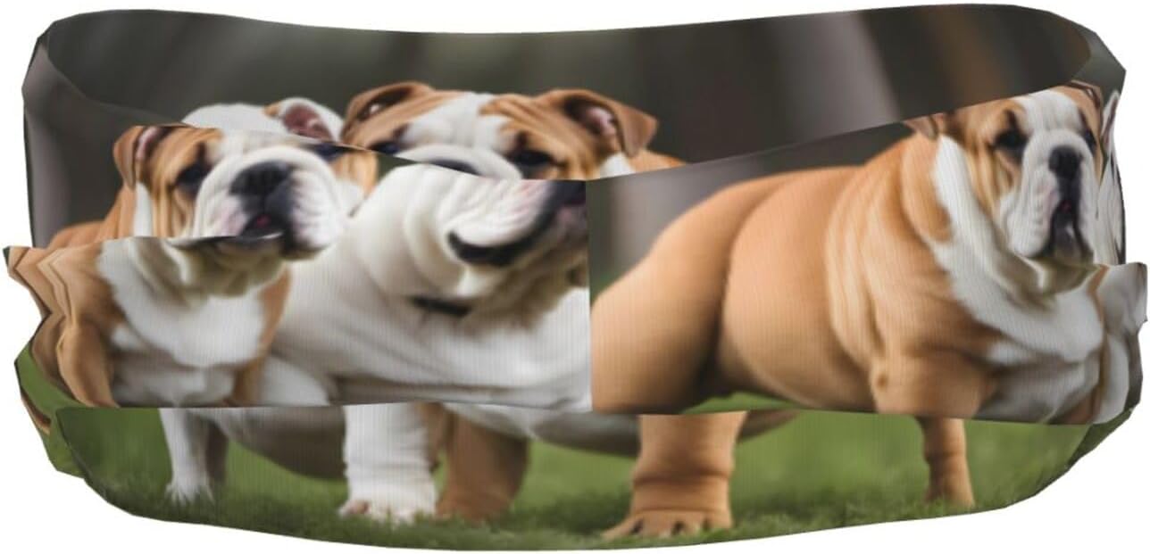 English Bulldogs Sports Sweatband – Stay Dry & Confident During Every Workout