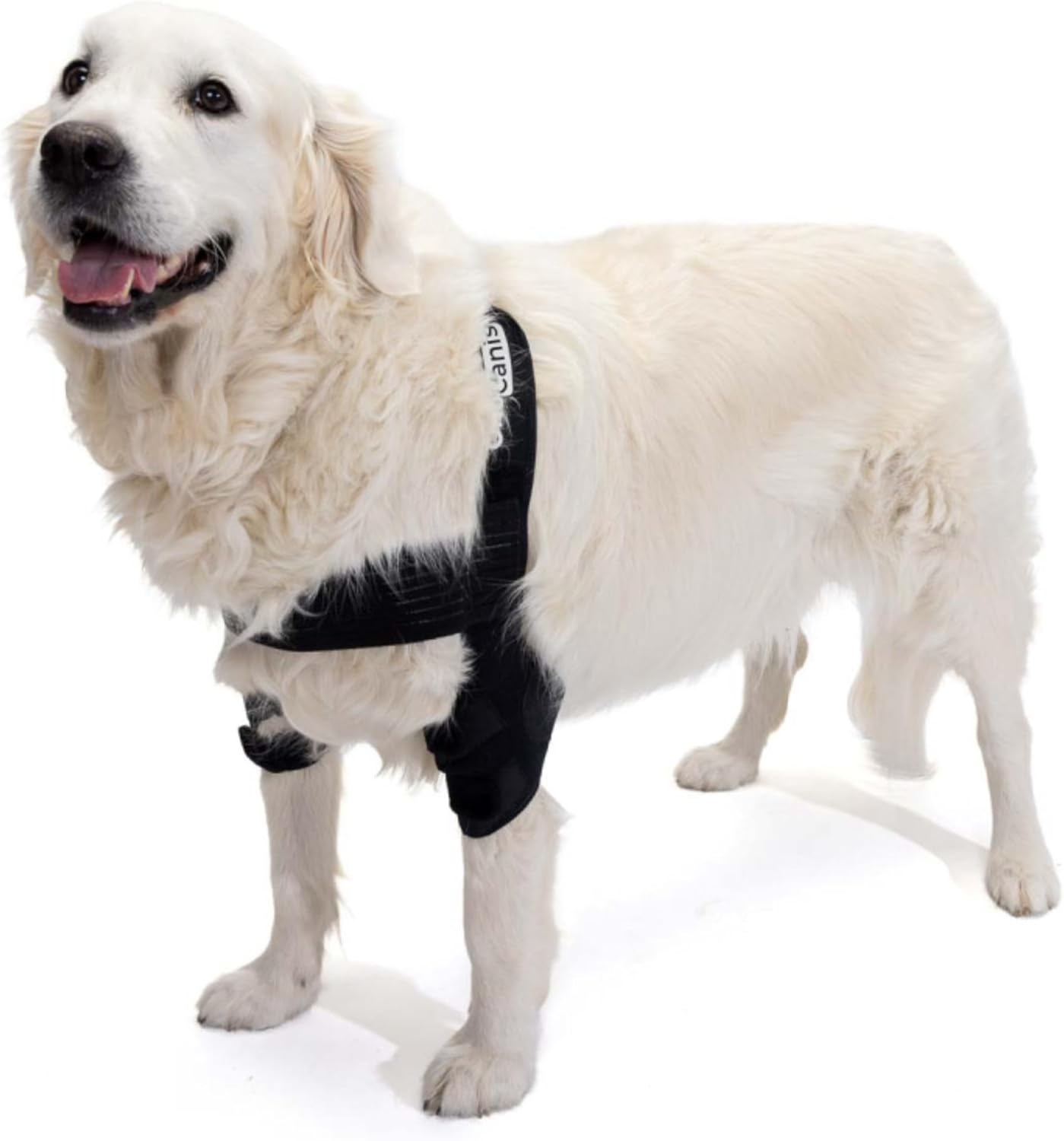 Ortocanis - Elbow Orthosis for Dogs with Elbow Arthritis. Hygromas or Shoulder Dislocation. Size L