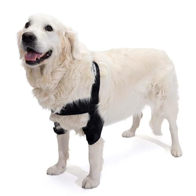 Ortocanis - Ortesis de Codo para Perros con Artritis de Codo, Higromas o Dislocación de Hombro, Talla S