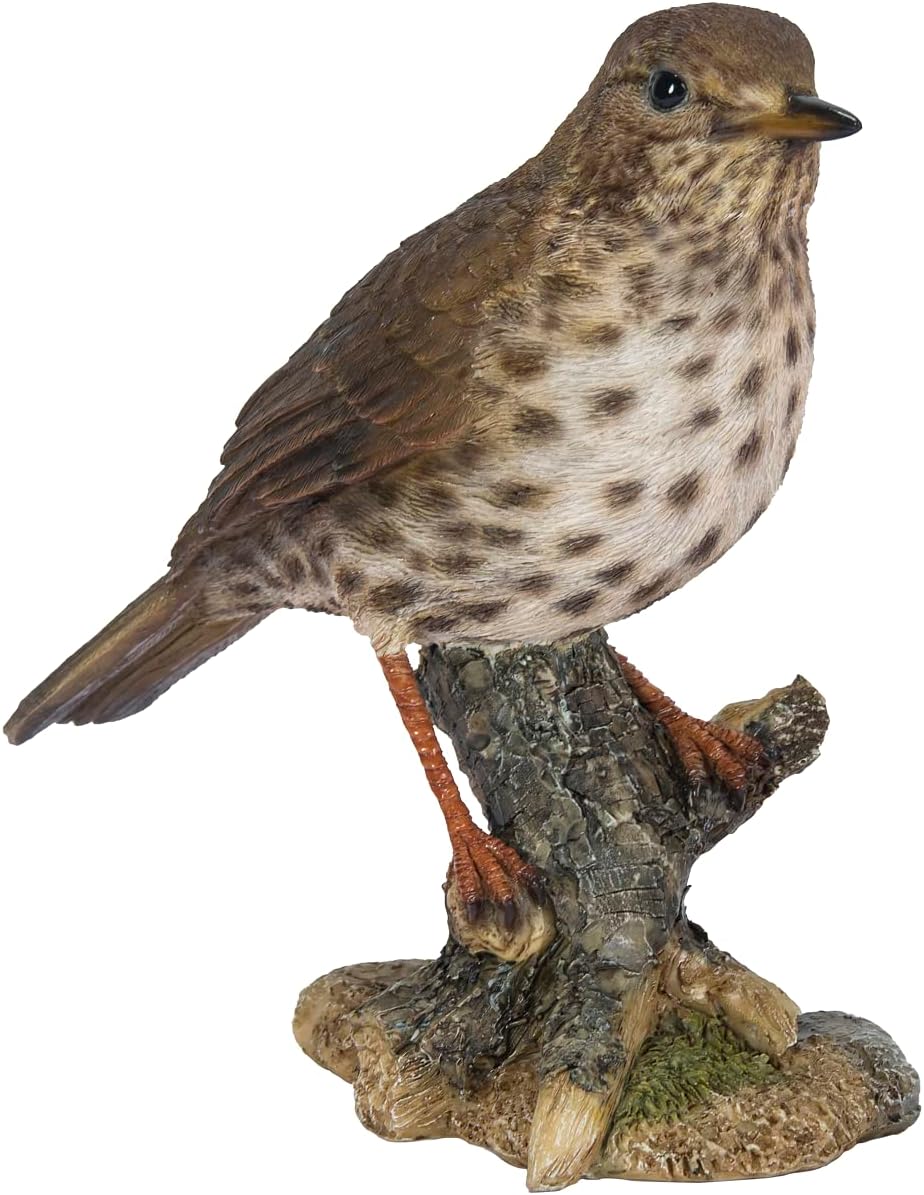 Vivid Arts Garden Birds (Song Thrush)