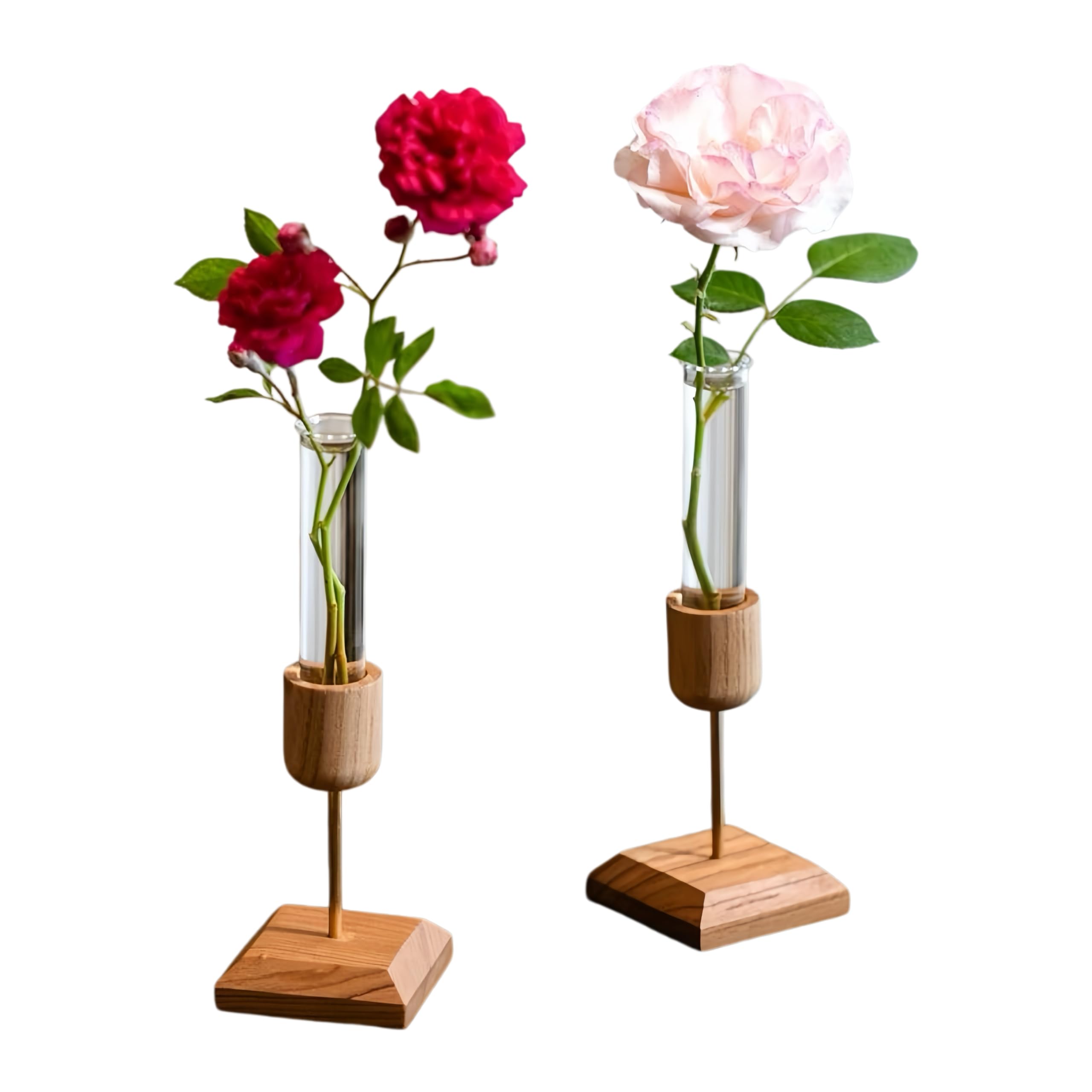 2 Stück Pflanzen-Anzuchtstation, Desktop-Reagenzglas-Vase, geeignet für Hydrokulturpflanzen, Gartengeschenke für Frauen, Geburtstagsgeschenke für Pflanzenliebhaber