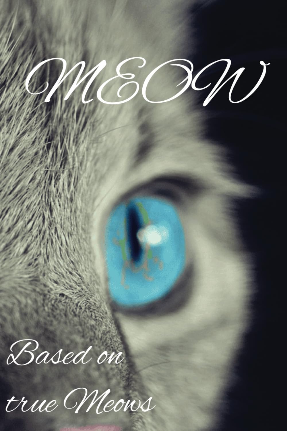 Meow: Based on true Meows