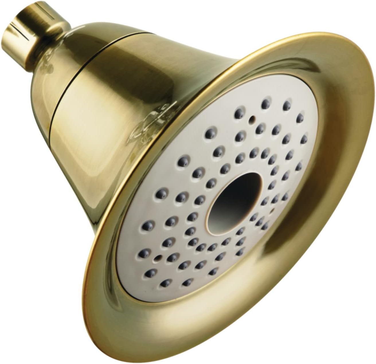 KX363 Shower Scape 6-Inch Round 2-Function ABS Shower Head in Antique Brass
