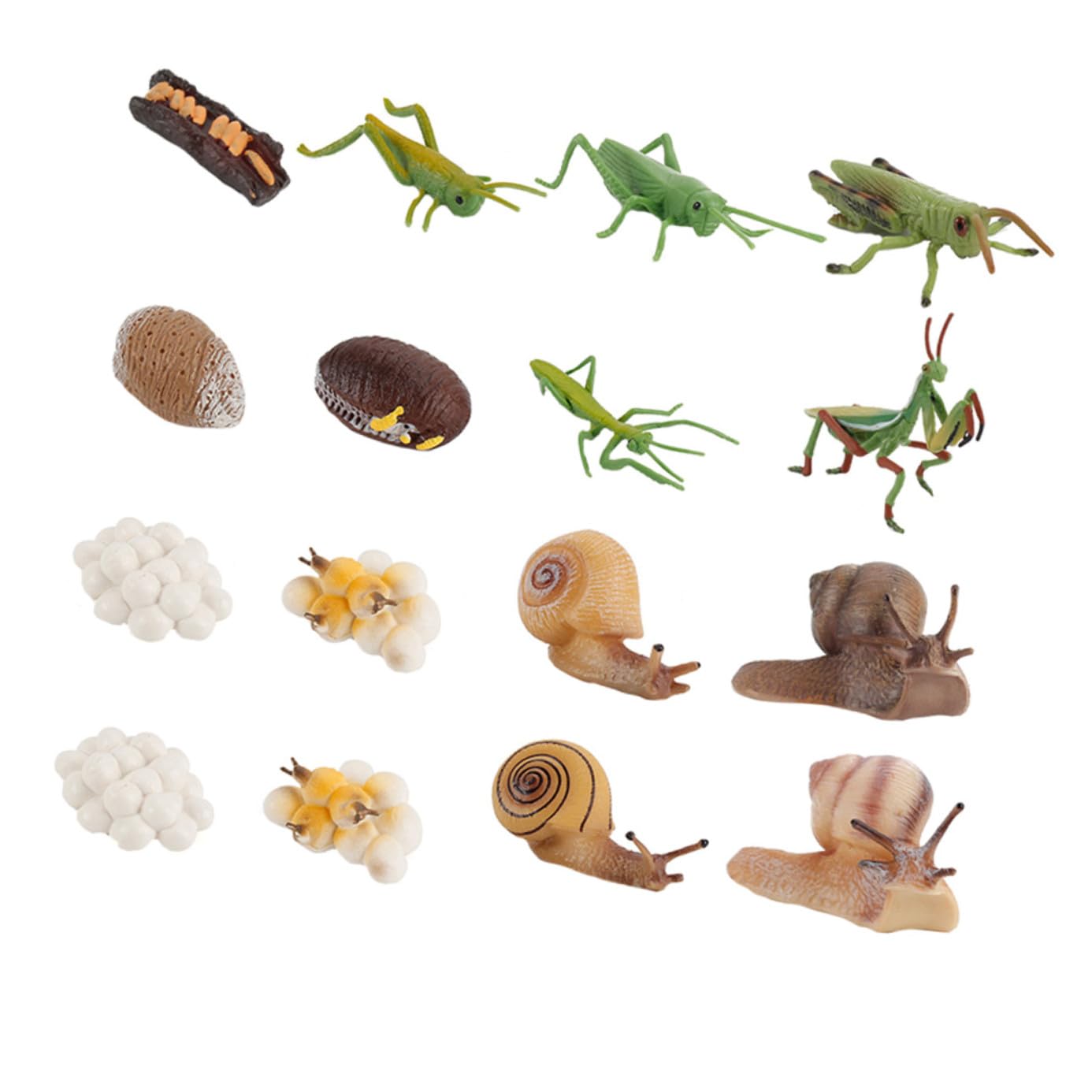 Juego Educativo de Modelos de Juguete de Crecimiento Animal 16 Piezas de Abs para Niños, Simula el Ciclo de Vida de Animales Aula Color Aleatorio
